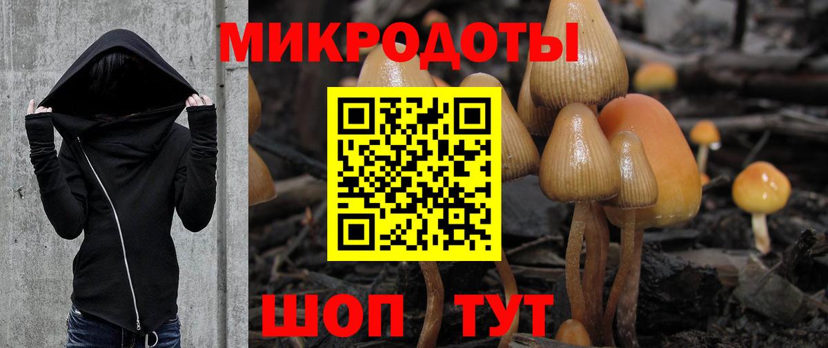 Псилоцибиновые грибы MAGIC MUSHROOMS  Вход с VPN  Нефтекамск 