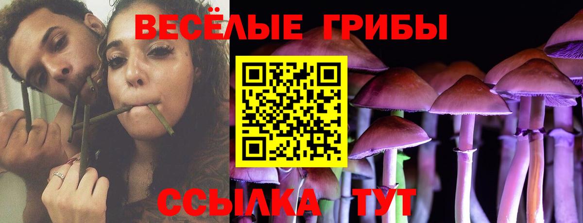 Галлюциногенные грибы Magic Shrooms Нефтекамск